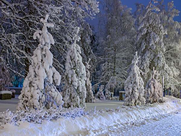 Rautatiel&auml;isten hautausmaa